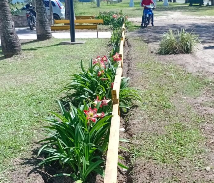 Recursos Naturales Plan Arbolado CIC NORTE 4