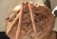 XVI ENCUENTRO DE ARMADORES DE CIGARROS Y PUROS