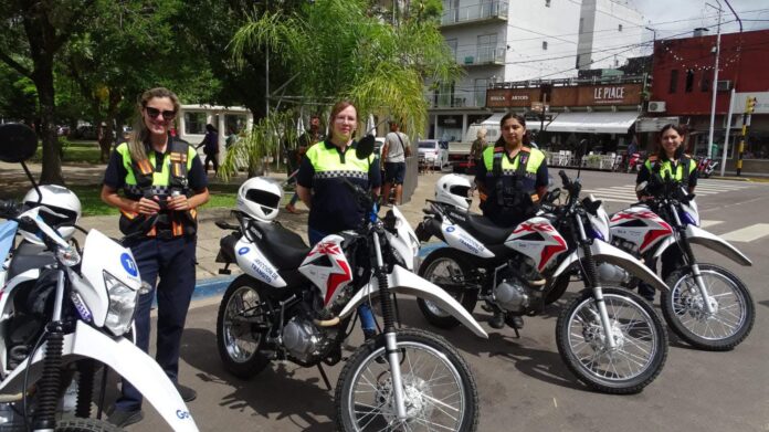 informe gestion -transito (3)