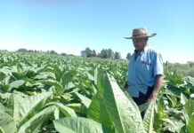 EL IPT RECIBIÓ FONDOS PERTENECIENTES A LA ACTIVIDAD COSECHA