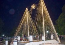 NAVIDAD EN PLAZA MITRE: LUCES, HISTORIAS Y EL ARMADO DETRÁS DEL GRAN ARBOLITO