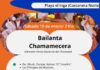 BAILANTA CHAMAMECERA EN PLAYA EL INGA: MÚSICA, DANZA E IDENTIDAD A ORILLAS DEL RÍO
