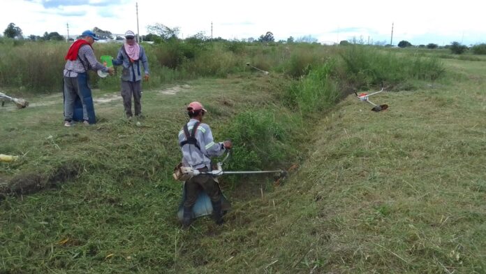 PRODEGO BARRIO COEMBOTA