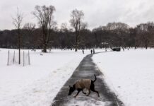 Nueva York restringió la circulación no esencial por una tormenta invernal que amenaza con convertirse en “ciclón bomba”