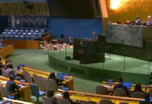 Milei votó contra la memoria de la esclavitud en la ONU