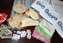 PRESENCIA GOYANA EN SAN LUIS PARA IMPULSAR EL XXII PINTEMOS GOYA 2026