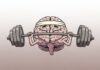 Majid Fotuhi, neurólogo: “El cerebro es como un músculo, cuanto más se usa, más grande y fuerte se vuelve”