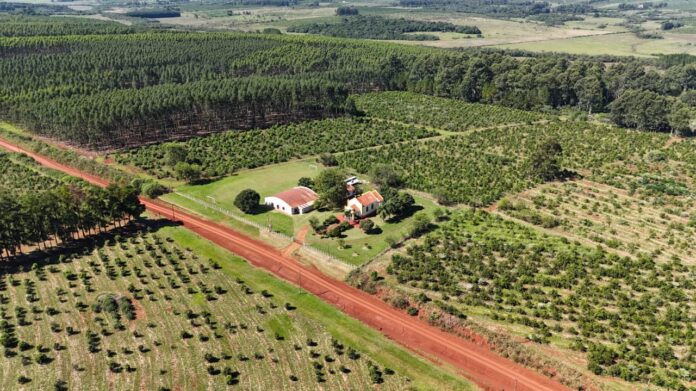 innovacion tecnologica para EFAS y Escuelas Agrotecnicas 4