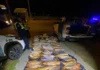 Decomisan casi 100 dorados y otras especies en un control vial sobre la ruta