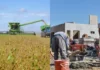 ¿Por qué la economía crece pero muchas personas no lo sienten en el bolsillo?
