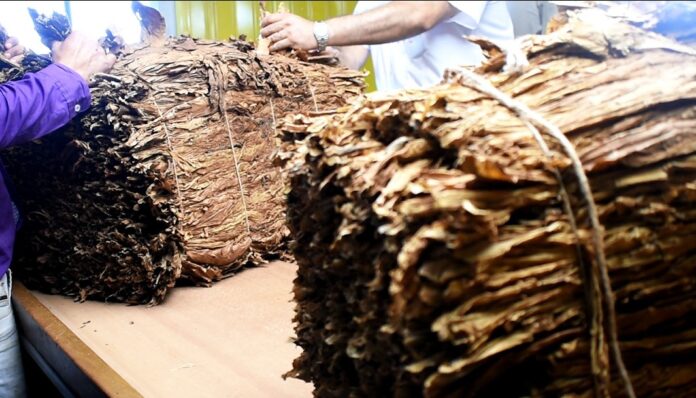 tabaco