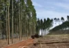 La nueva sociedad del NEA: qué gana Corrientes al acercarse a Misiones