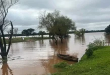 Alerta en Santo Tomé: el río Uruguay sube a ritmo constante y esperan un importante pico de crecida