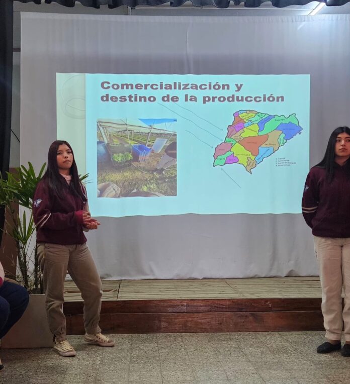 EFA COEMBOTA PRACTICAS PROFESIONALIZANTES 6