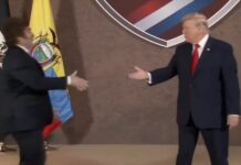 La alianza política entre Milei y Trump determinó que EEUU imponga el arancel más bajo a las exportaciones que recibe de la Argentina