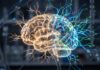 Cómo es la tecnología que anticipa el riesgo de Alzheimer con una gota de sangre y está disponible en Argentina