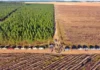 Extranjeros en Corrientes: cómo avanza la compra de tierras