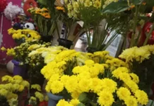 Flores amarillas, la tradición que se repite cada 21 de septiembre