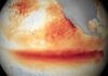 La ONU alertó que el fenómeno de El Niño durará hasta febrero y será “muy fuerte”