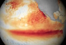 La ONU alertó que el fenómeno de El Niño durará hasta febrero y será “muy fuerte”