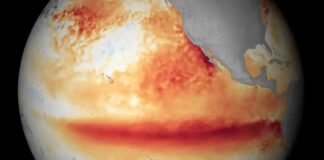 La ONU alertó que el fenómeno de El Niño durará hasta febrero y será “muy fuerte”