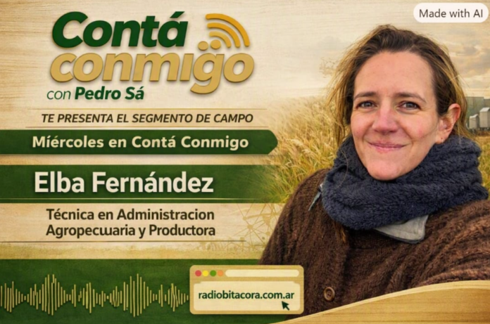 Captura de pantalla 2026-08-25 173108