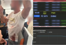 Un avión con destino a Israel aterrizó de emergencia en Arabia Saudita: el copiloto apuñaló a su compañero