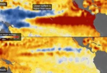 El Niño: la señal clave en el océano que anticipa un impacto extremo en el clima
