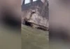 Una barcaza impactó y removió parte de un pilote del puente Belgrano